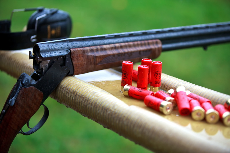 double-barreled, rifle, the gun, poster, vertical, plates, shotgun pellet, rain, headphones, cartridges, shutter, shooting, charges, drops
