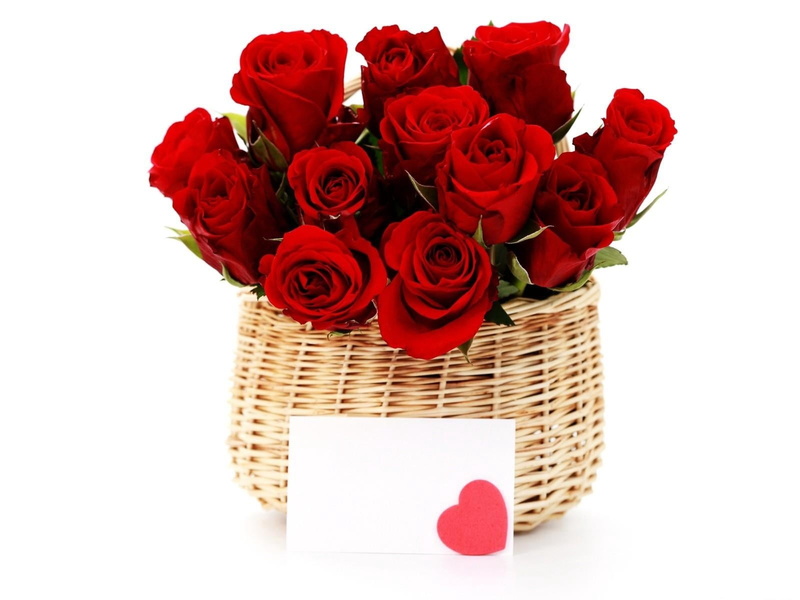 container, red, basket, plant, white Background, flower arrangement, dating, white, rose - Flower, flower, bunch of flowers, no People, rose, trash, decoration