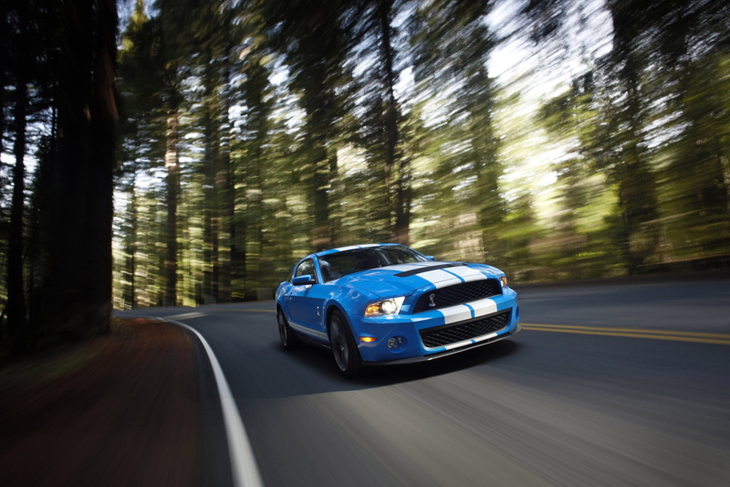 plant, no people, road trip, trees, Ford Mustang Shelby, car, on the move, land, blurred motion, speed, Ford, sunlight, motor vehicle, motion, 2K, mode of transportation