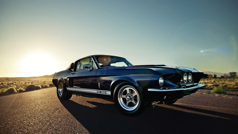coupe, day, luxury, muscle cars, sunlight, nature, road trip, mode of transportation, retro styled, Shelby GT500, muscle, land, car, transportation, blue