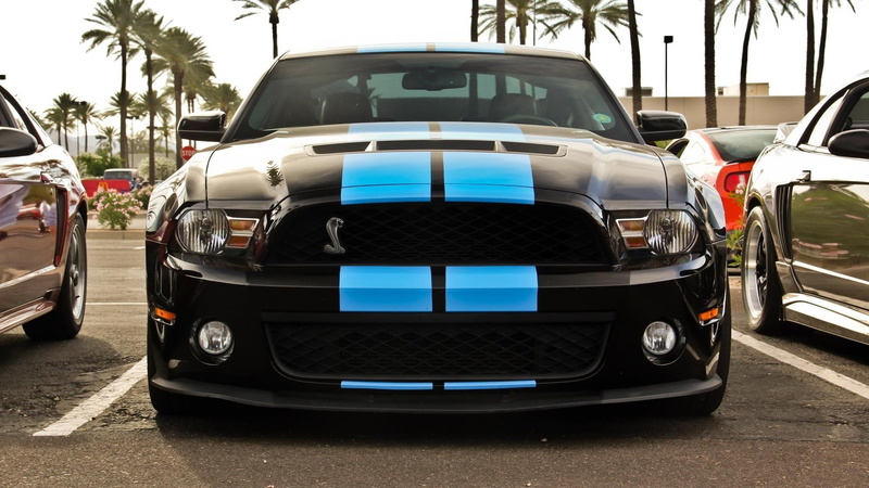 1080P, Ford Shelby GT500, day, travel, sky, vintage car, car, city, retro styled, wealth, transportation, tree, motor vehicle, luxury, land vehicle, mode of transportation