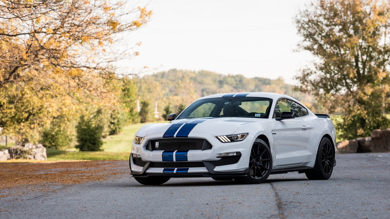 Shelby GT350, Ford Mustang Shelby, car, nature, depth of field, 1080P