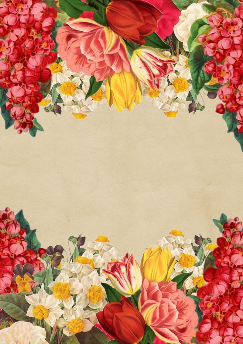 decoration, petal, vintage, nature, pink, red, flowering plant, vulnerability, multi colored, painting, background, flower head, rose, flowers, close-up