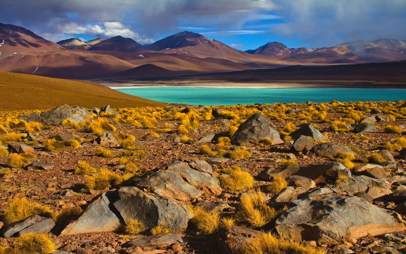 mountains, photography, landscape, Atacama Desert, nature, lake, 720P, Chile, Shrubs