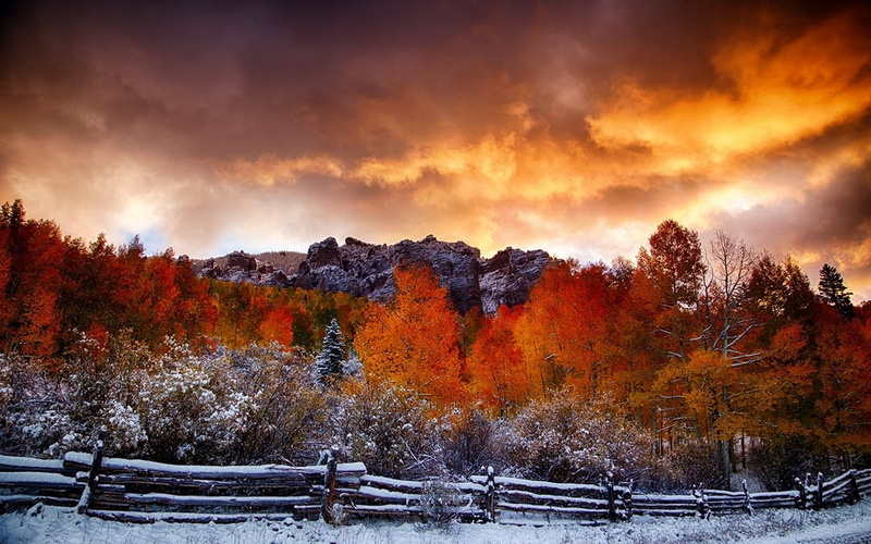 sky, woodland, change, plant, orange, yellow, tree, no people, leafed, tranquil scene, landscape, scenics - nature, snow, forest, land, hills, 720P, trees