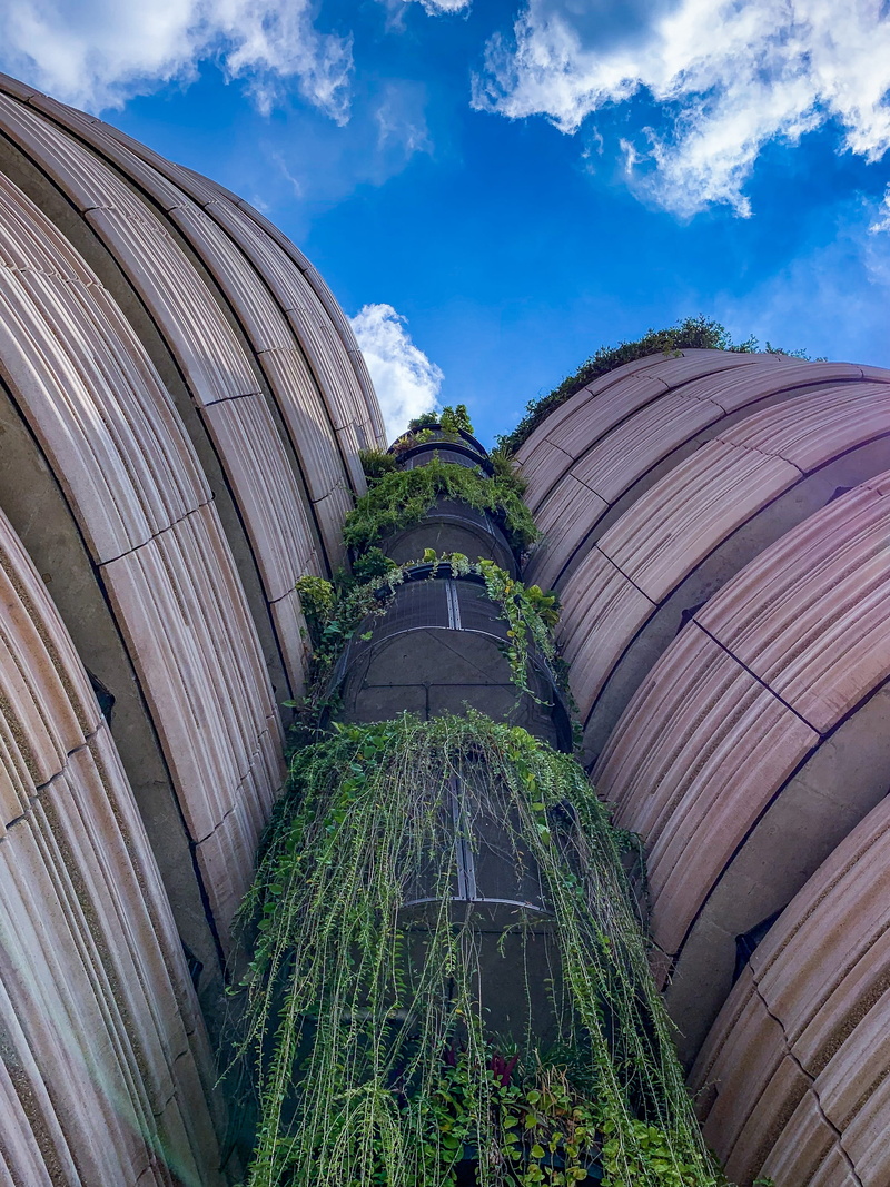 tourism, dome, built structure, growth, tree, 2K, travel destinations, planetarium, place of worship, shotoniphone, singapore, office building, architecture