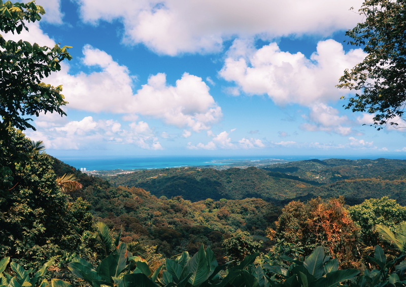 beautiful puerto rico, day, tranquility, mountain, environment, cloud - sky, growth, sky, beautiful, el yunque national forest, no people, puerto rico