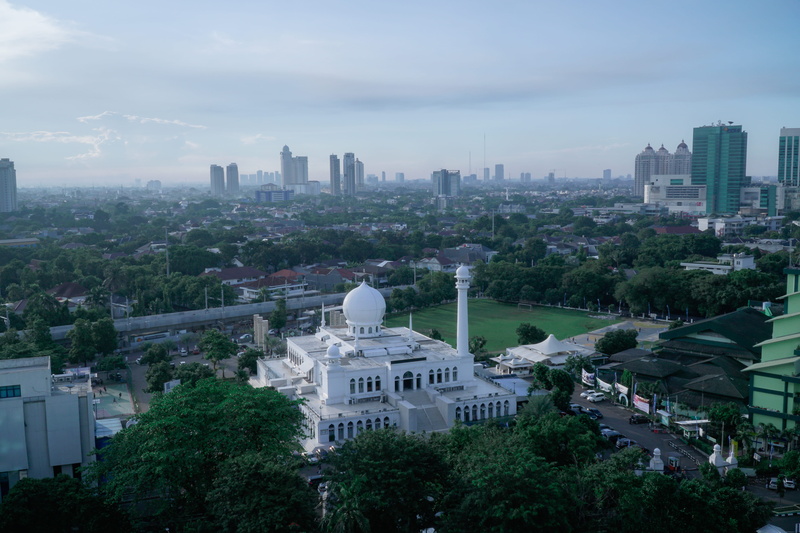 mosque, architecture, plant, nature, urban, observatory, spirituality, aerial view, alazhar, skyscraper, cityscape, tree, 5K, high angle view, metropolis