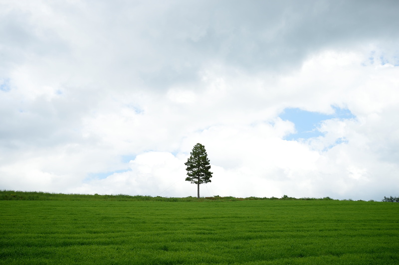 gray, hill, sky, Nikon  Df, NIKKOR, green hill, JP, 4K, green, Single, Hokkaido, VR, hill top, green Color, cloudy, AF, 4.5G, Observatory, 日本, green tree
