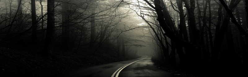 forests, fog, roads, 2K, greg, martin