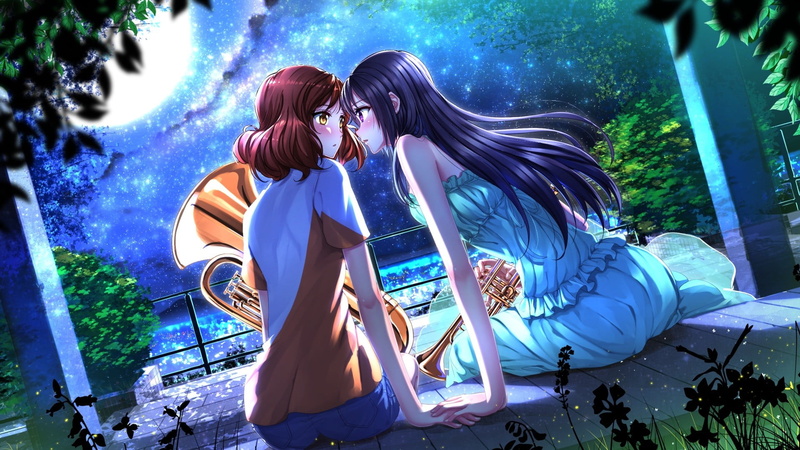 yuri, lifestyles, togetherness, clothing, two people, adult, Oumae Kumiko, women, sitting, event, positive emotion, Swordsouls, 1080P, anime girls, love
