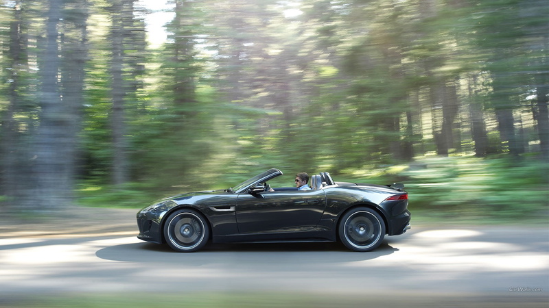 day, land, motion, 1080P, nature, Jaguar F-Type, mode of transportation, Jaguar (car), forest, motor vehicle, one person, outdoors, land vehicle, plant