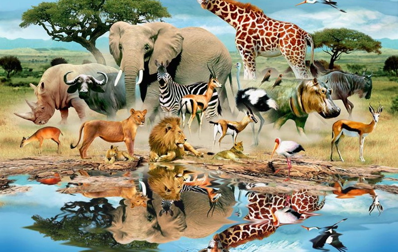 720P, world, water, animal, mural, painting, animal world, trees, animals, grass, reflection, assorted