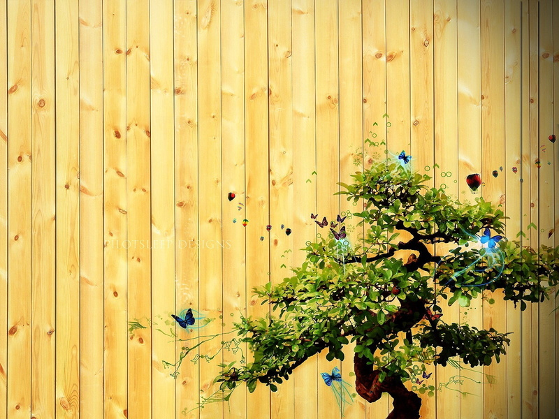 Butterfly, Images, 720P, brown, plant, Creative, Tree, bonsai