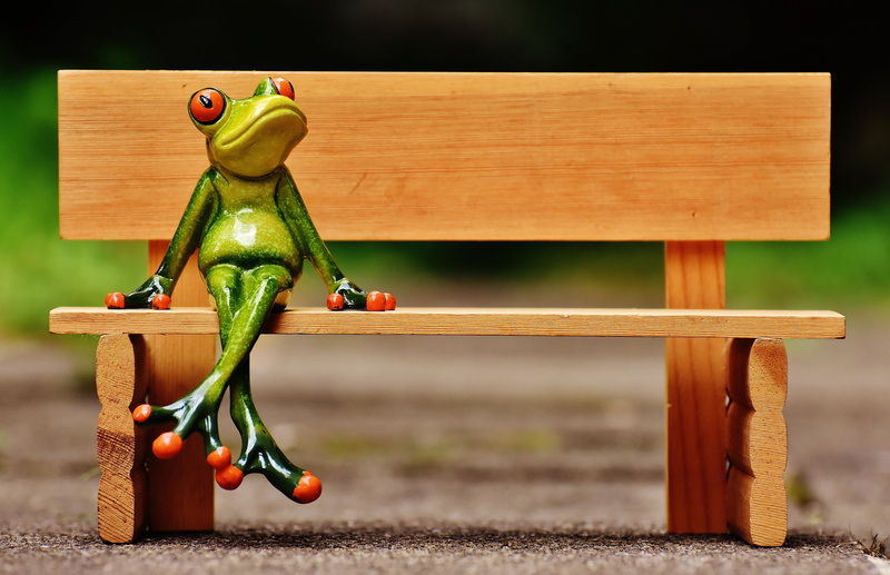 cute, creativity, bank, rest, wood - material, food, bench, small, break, photography, 5K, funny, toy, sit, healthy eating, nature, are, frog, yellow
