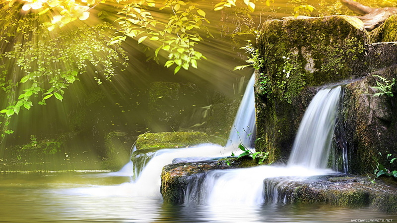 moss, sunlight, tropical, hd, tree, leaf, jungle, waterfall, timelapse, nature, green, 1080P, stones, ovate, forest, rocks, gray