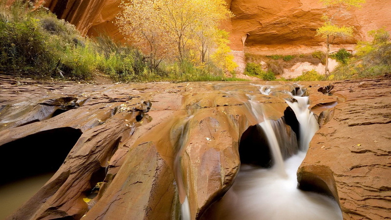 photography, scenics - nature, nature, stream - flowing water, tree, day, canyon, motion, long exposure, solid, beauty in nature, flowing water, flowing