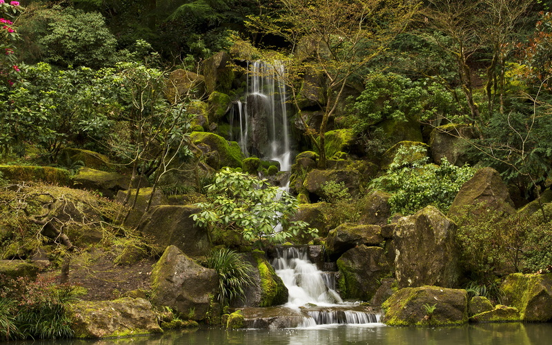 stones, green, hd, waterfalls, jungle, moss, waterfall, nature, 1080P, trees, forest, rocks