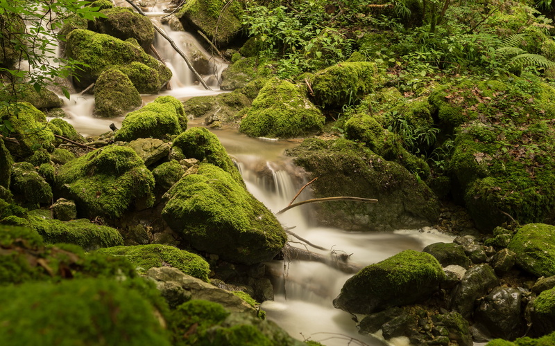 green, rocks, jungle, stones, moss, nature, forest, 2K, hd, waterfall