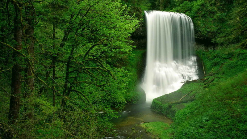 waterfall, forest, jungle, timelapse, tropical, trees, hd, 1080P, nature