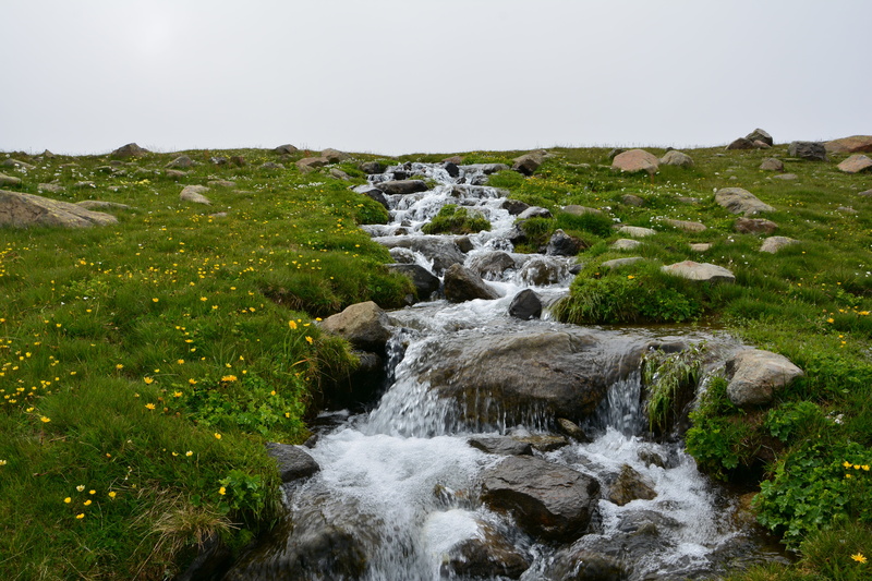 environmental, 5K, black sea, turkey, unbelievable, forest, mountains, land, outdoors, white clouds, plant, blue, rock - object, photography, stream, tree
