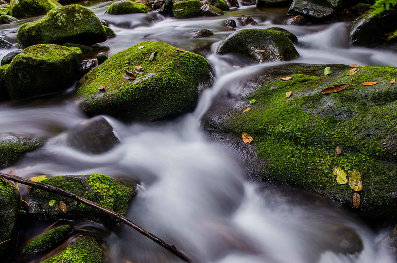 stone, 4K, waterfall, bukidnon, outdoors, green Color, forest, landscape, stream, philippines, water, rock, freshness, tree, rock - Object, nature, flowing Water