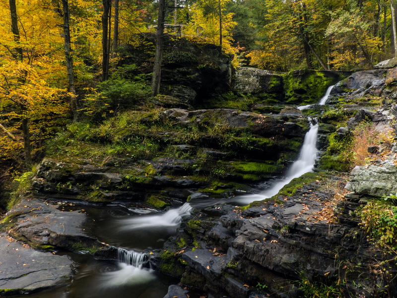 upper, three, nature, ferry, moss, no people, natural, scenics - nature, delaware gap, blurred motion, forest pictures, factory, wild, falling water, land