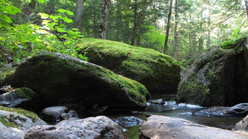 moss, 1080P, stone, hd, nature, stream, rock, forest