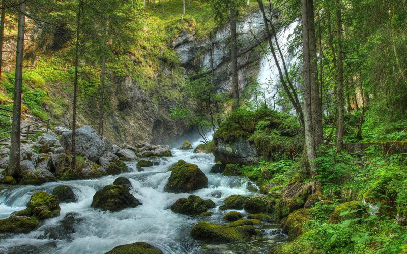 timelapse, pictures, forest, 1080P, rocks, waterfall, landscape, river, waterfalls