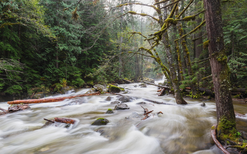 green forest, landscape, Canon EF, daytime, 4L, tree, waterfall, beside, green, River, long exposure, photography, scenics, nature, 35mm, forest, 5K, water