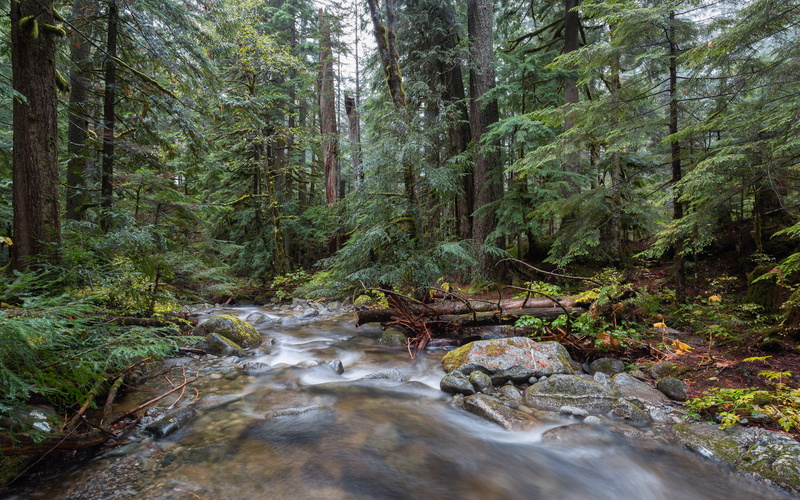 Nature, Falls, 4L, Canon EF, stream, landscape, rock - Object, Deception, brown, beauty In Nature, woodland, Washington, 35mm, tree, waterfall, green, river