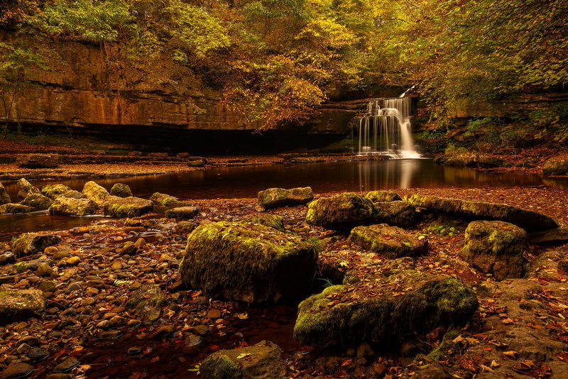 photography, time, change, autumn, plant, waterfall, backgrounds, tranquil Scene, leaf, falling, famous Place, flowing, clear, tree, scenics - nature, park - Man Made Space