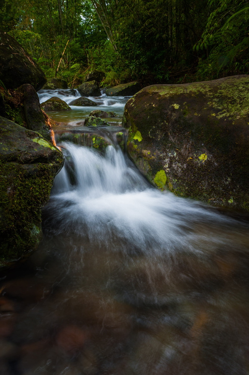 forest, flowing Water, 1080P, landscape, tree, falls, philippines, outdoors, stream, flowing, nature, freshness, jpg, photography, time, DSC, scenics