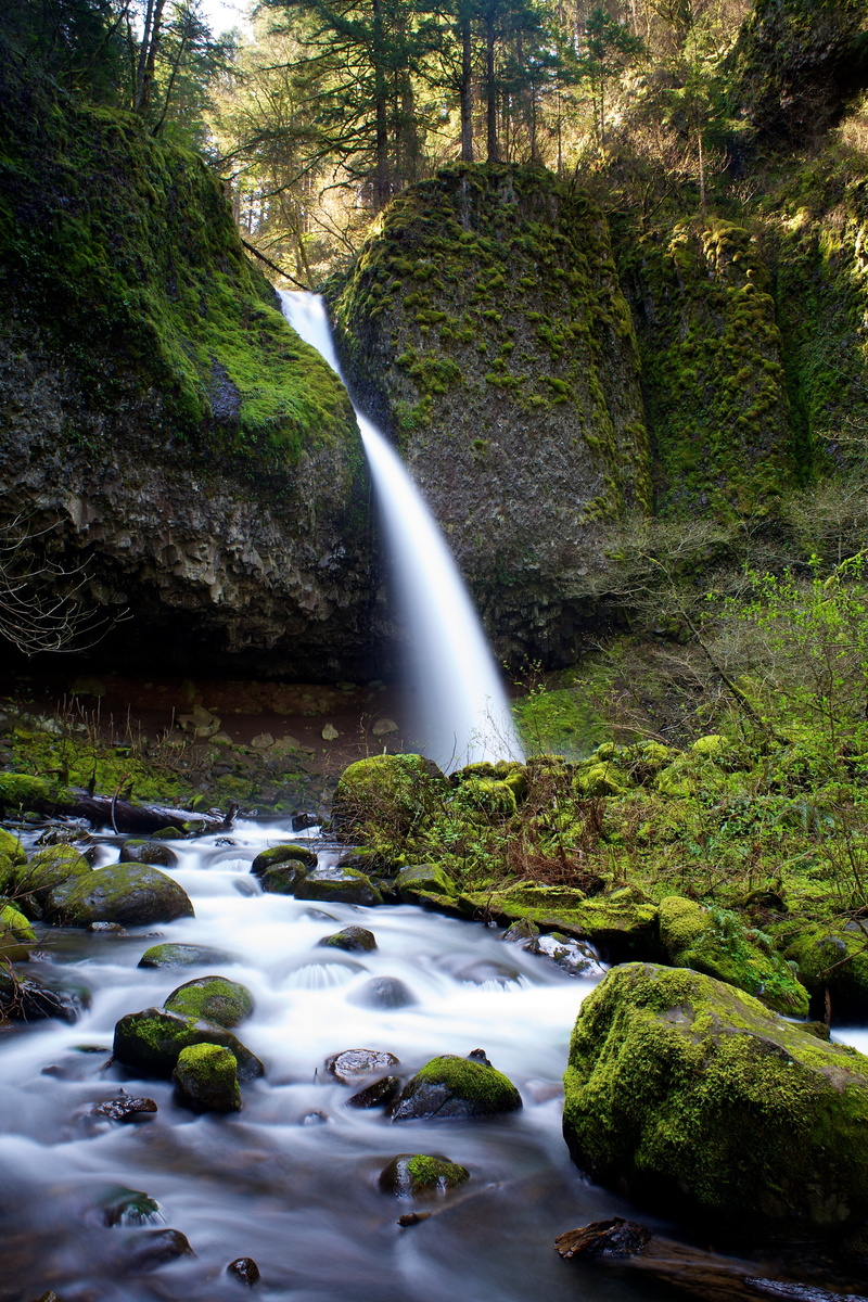 photo, river, rain forest, outdoors, eos, spring, f  stop, rock - Object, bokeh, area, landscape, forest, day, Pony Tail, false, old  light, oregon, fresh