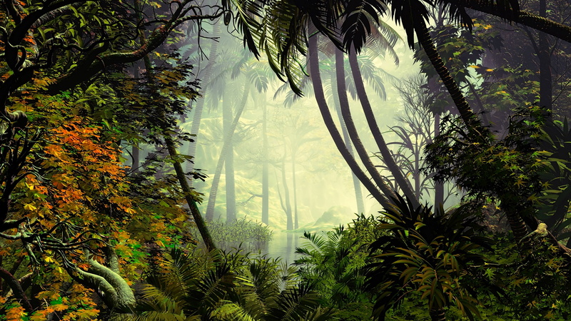 luminos, tropical, tree, plant, vara, branch, tranquility, tree trunk, Jungle, land, no people, green color, scenics - nature, angel estevez, summer, mist