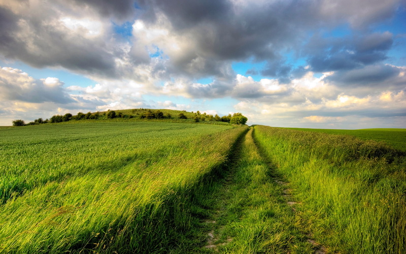 1080P, grass, Cloudy, Summer, Road, Fields, Green, Endless, Sky, field