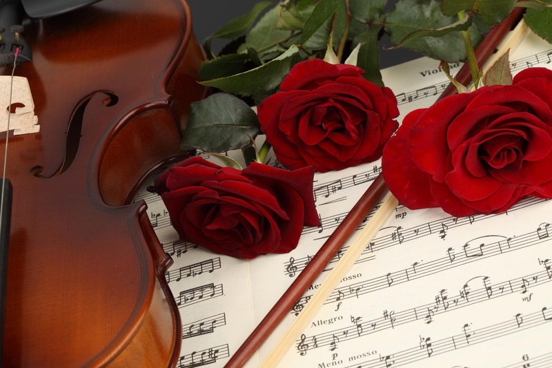 red roses, leaves, nice, 1080P, bouquet, sweetness, romance, tenderness, harmony, beautiful, music, flowers