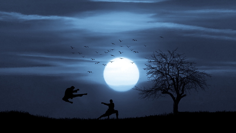 pose, outdoors, karate, large group of animals, silhouette, two people, mental, chi, fighter, tai, land, harmony, cloud - sky, flock of birds, action, vertebrate