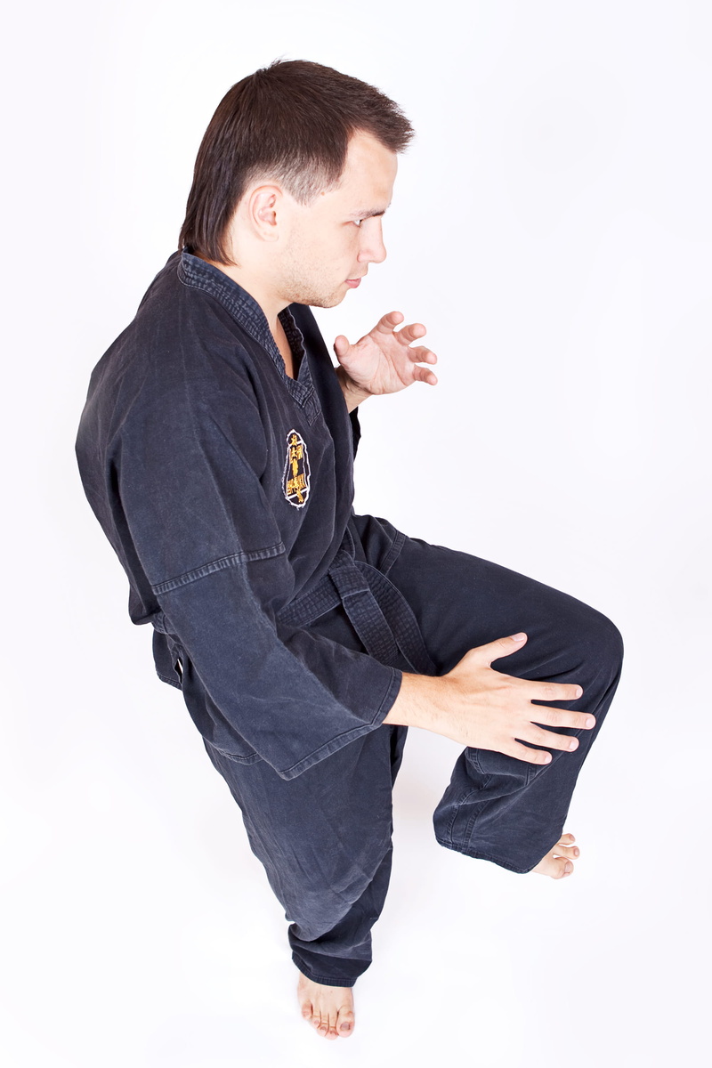 fight, clothing, 2K, young men, people, con2011, hobby, person, sport, outline, isolated, do, chuan, side view, warrior, indoors, body, full length, males
