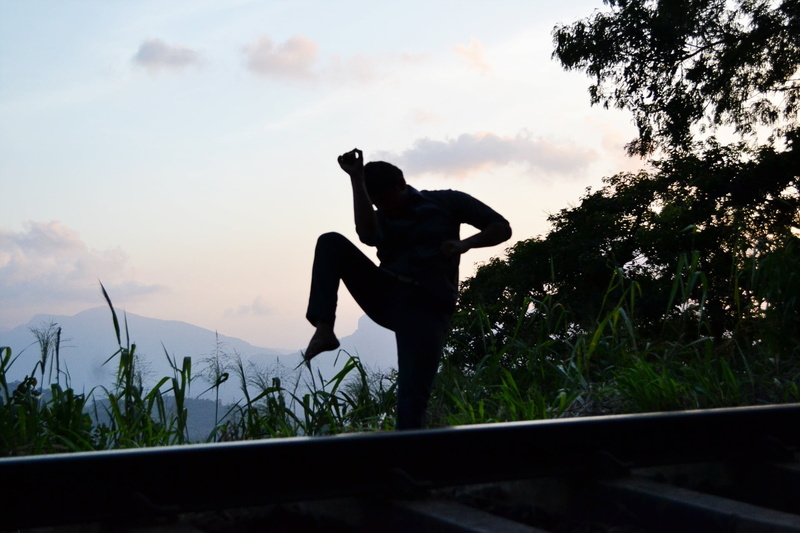 one Person, real people, exercising, fighter, men, martial arts, sport, fight, mawanella, sports, mammal, women, boxing, practice, kung fu, boy, person
