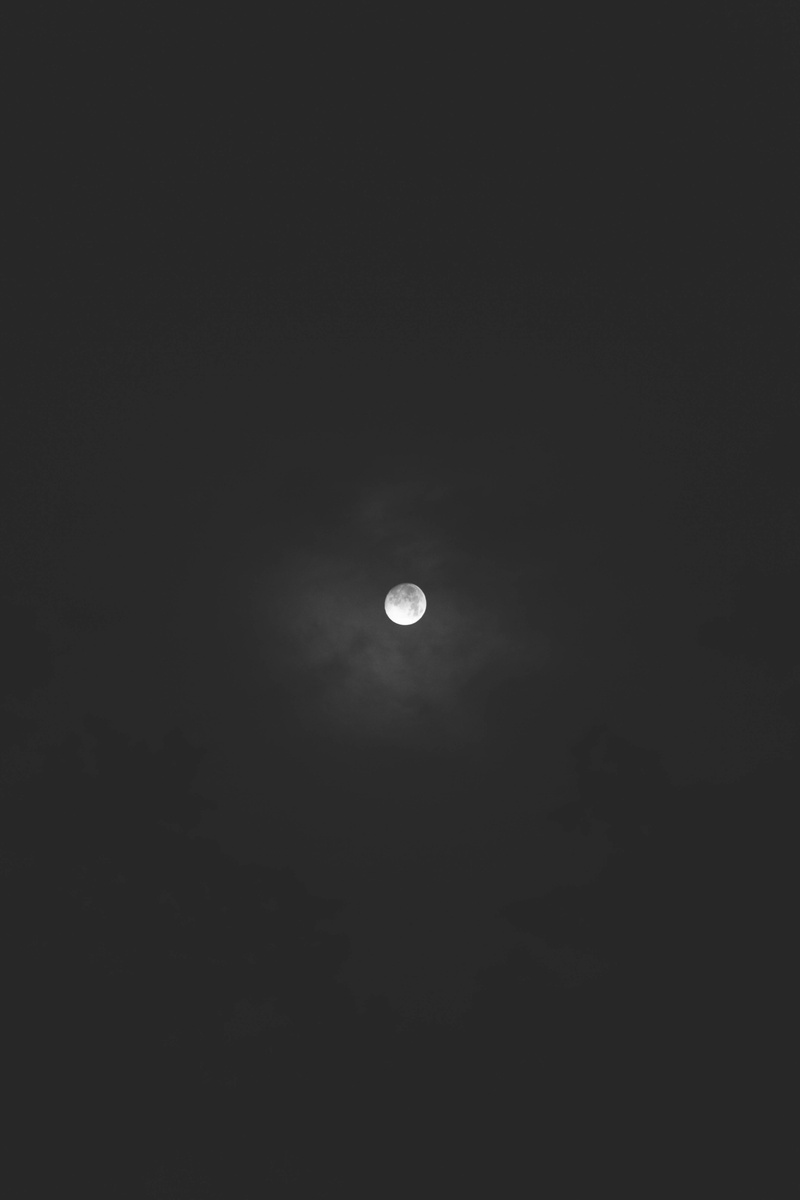 astronomy, planetary moon, low angle view, beauty in nature, no people, dark, moon, sky, nature, tranquil scene, space, tranquility, moonlight, 5K, circle