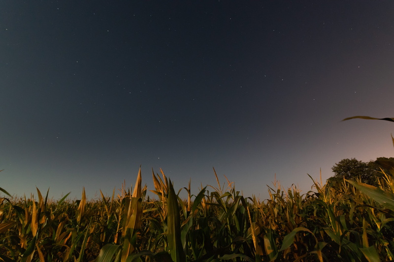 environment, starlight, scenics, nightsky, crop, dark, backgrounds, summernight, field, grass, beauty In Nature, cloud - Sky, big dipper, sun, summer, non-Urban Scene