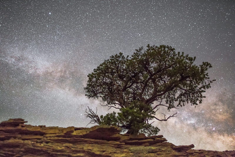 nature, sassy, tranquil scene, night, sky, universe, space, no people, green, scenics - nature, tranquility, leaf, girl, rock, coniferous tree, star field