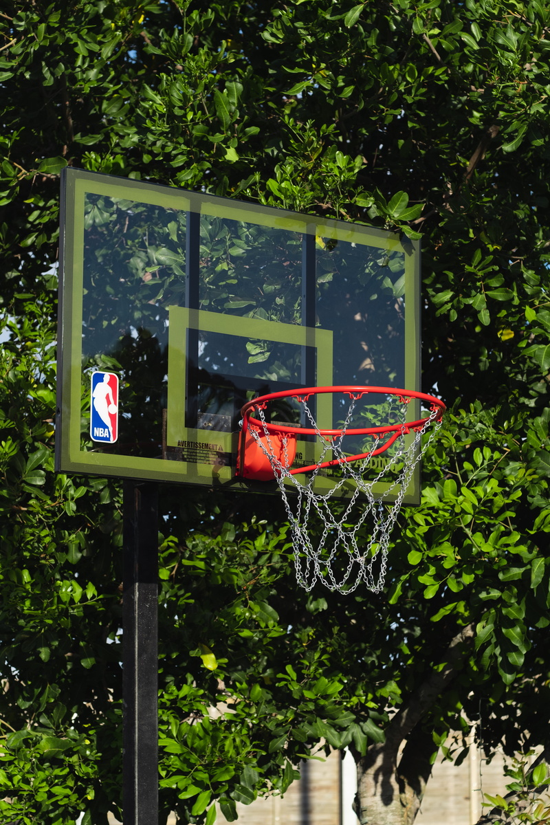 nature, outdoors, hanging, plant, bird feeder, leisure activity, light fixture, red, sport, park, basketball, droplet, grey, building exterior, porch, portable