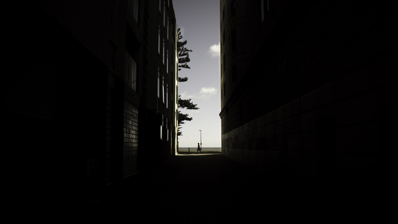 nature, city, light, outdoors, buildings, sunlight, space, windows, trees, sunset, cloud, architecture, no people, dark, lines, untitled, residential district