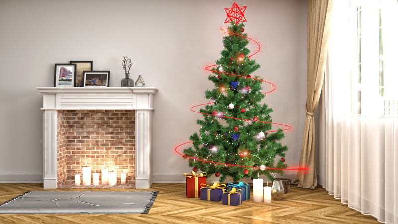 christmas Present, plant, cultures, mantelpiece, domestic life, decoration, window, christmas Tree, holiday, holiday - event, night, christmas Lights, new