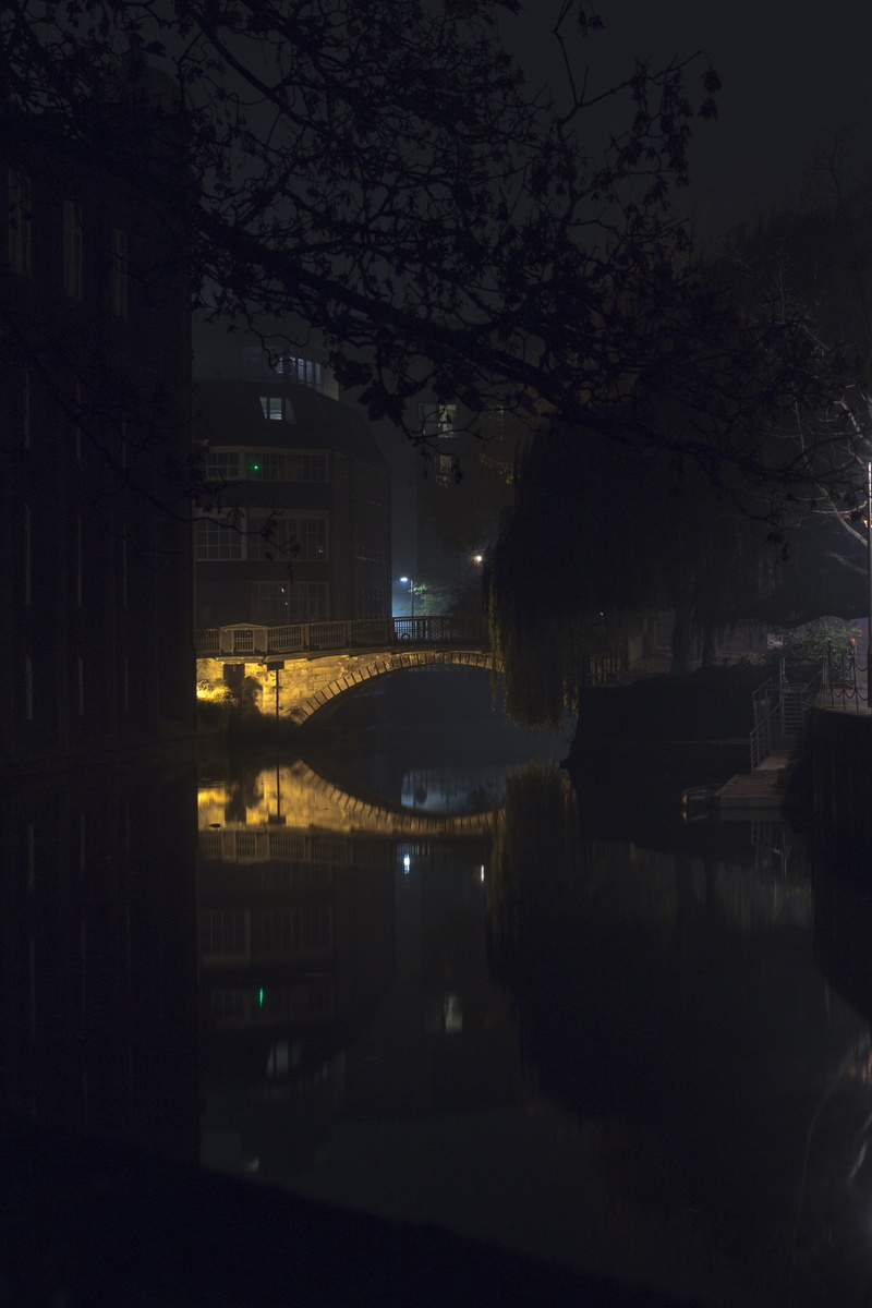 trees, no people, built structure, lake, city, tree, moody, water, 5K, architecture, united kingdom, building exterior, branch, plant, dark, river, night