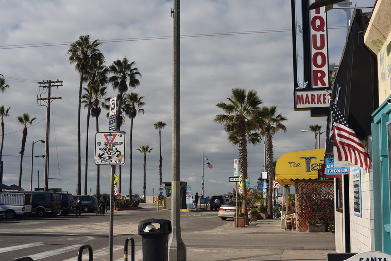 5K, road, outdoors, palm, venice, nature, no people, built structure, car, cloud - sky, sky, los angeles, tree, street, text, ca, day, transportation