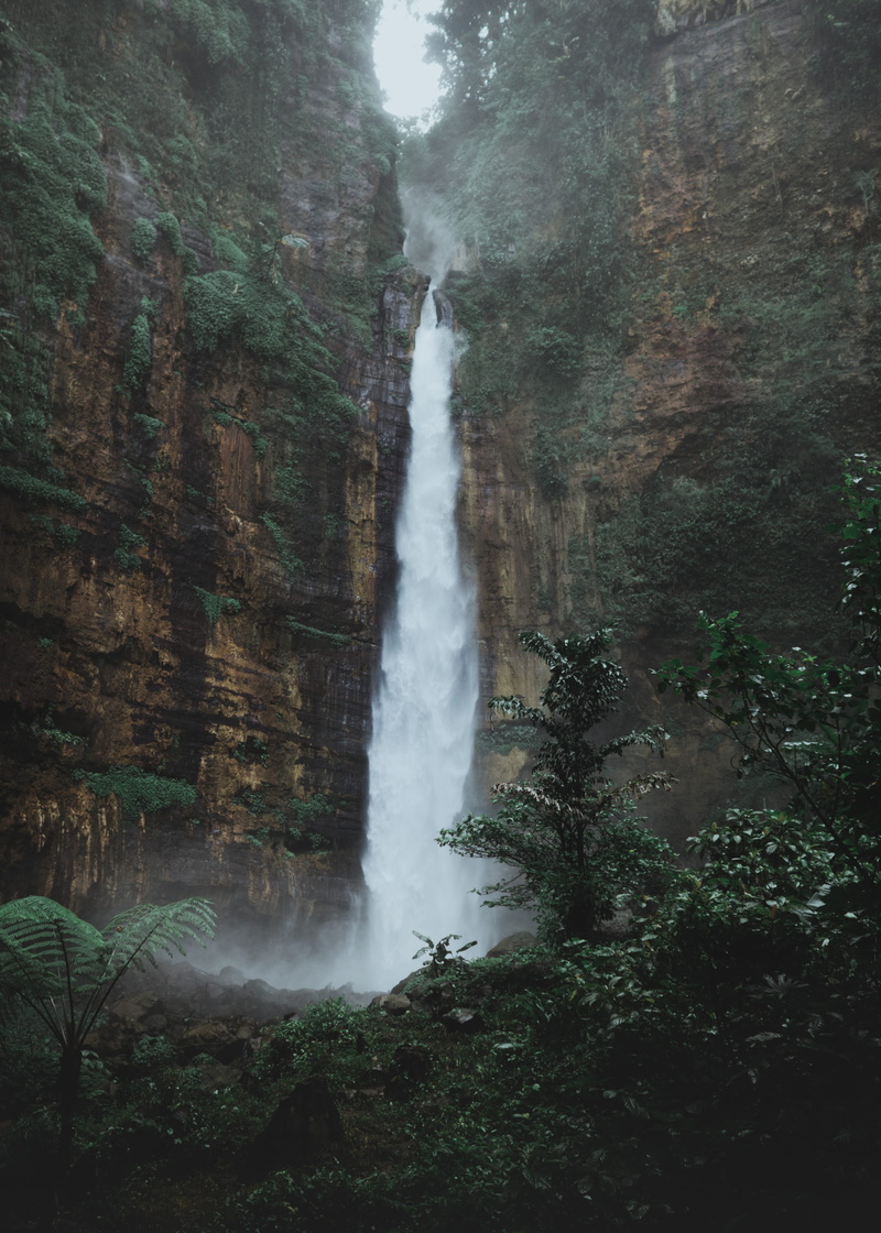 green Color, explore, forest, falling, scenics, waterfall, fog, daytime, freshness, nature, landscape, clif, national Landmark, east java, cliff, 4K, summer