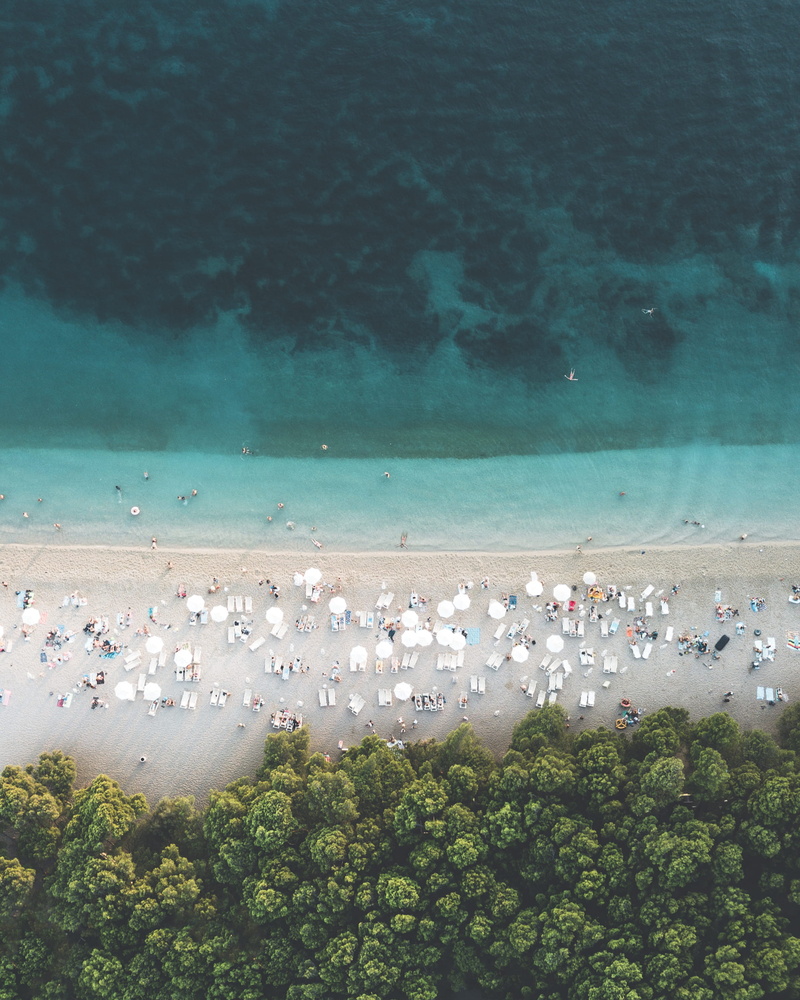 flock of birds, croatia, gathered, scenics - nature, seagull, green, photography, sea, amadejtause, aerial, chill, bird, tranquility, animal wildlife